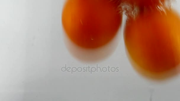 Fresh Ripe Organic Red Tomatoes Falling Into Water - Кадри, відео