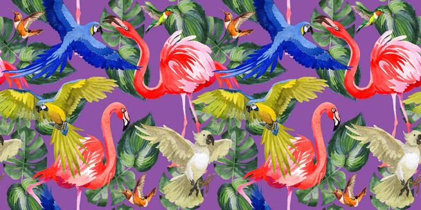 Sky pták papoušek vzor v přírodních akvarel styl. - Fotografie, Obrázek