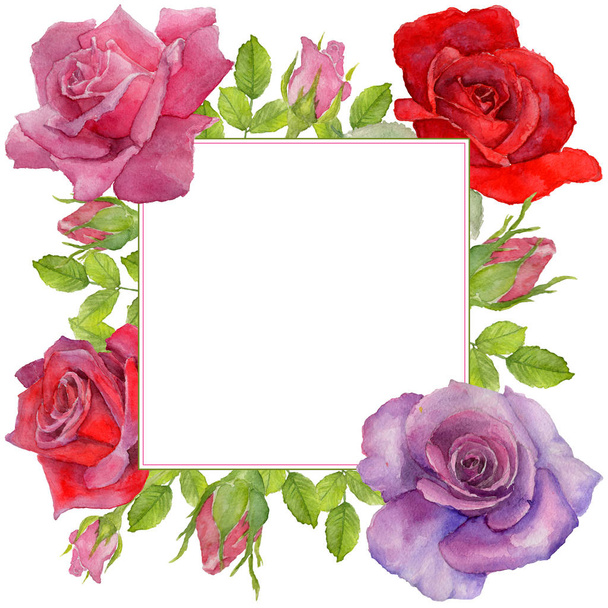 Wildflower rosa flower frame in a watercolor style. - Photo, Image