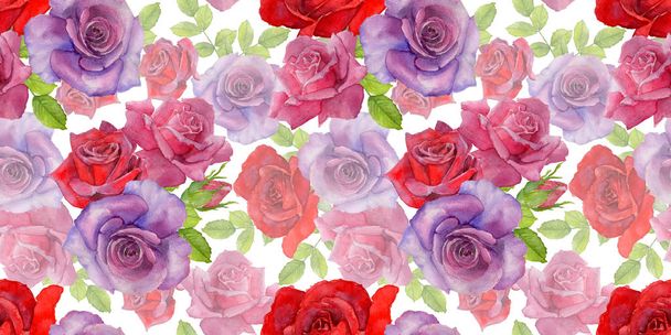 Wildflower rosa flower pattern in a watercolor style. - Foto, Imagen