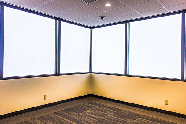 heldere grote lege ruimte met tapijt, molding en windows - Foto, afbeelding