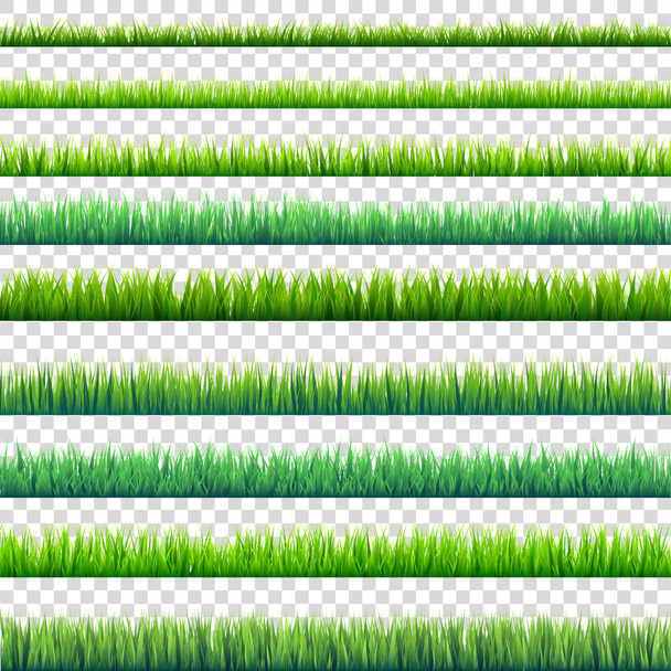 Grass isolated on transparent background set. Green meadow. Nature background. Spring, summer time. - Vector, Image