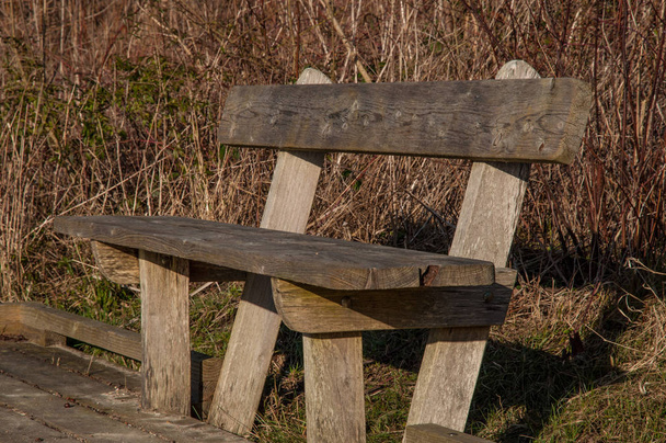 Bench in the nature - Photo, Image