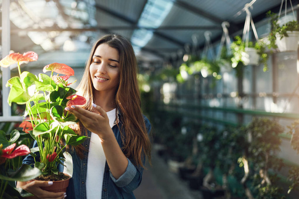 Young wife looking after plants in a greenhouse holding a pot with flowers. - Фото, изображение