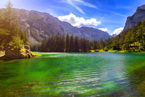 Gruner See - krásné zelené jezero s křišťálově čistou vodou - Fotografie, Obrázek