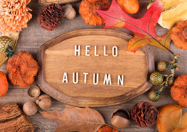 Hello Autumn Plaque - Photo, Image
