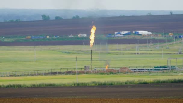 burning torch at the plant for processing of oil and gas among the fields - Footage, Video