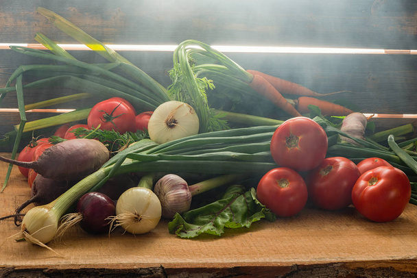 Green onions, garlic, carrots, beet and tomatoes against the background of old grey boards in fog - Foto, afbeelding