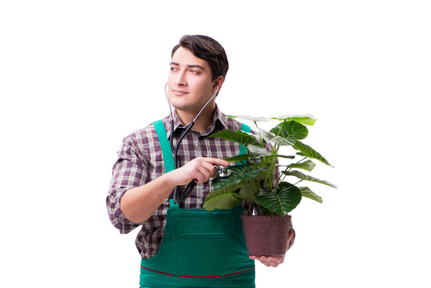 Mladý muž zahradník izolovaný na bílém - Fotografie, Obrázek
