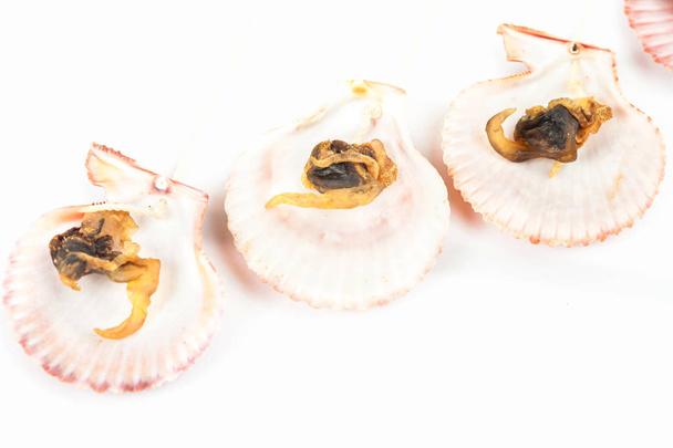 sea food sweet dried clams on white background - Foto, imagen