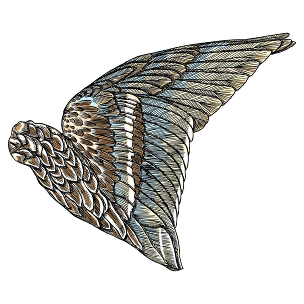 Vintage wing drawing - Vektör, Görsel