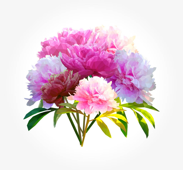 Bouquet polygonal peony flower with leaves on whie - Vector, Image