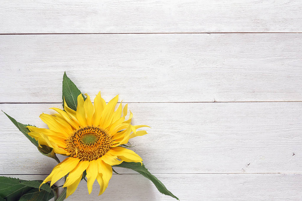 Background with yellow sunflower on white wooden table. Copy spa - Fotografie, Obrázek