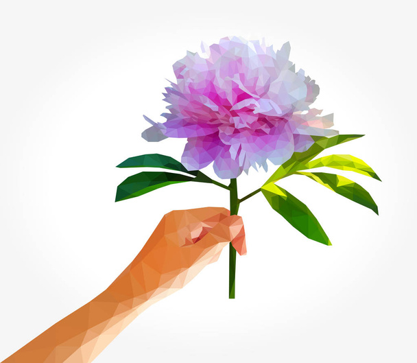 многоугольный пионский цветок в левой руке
 - Вектор,изображение