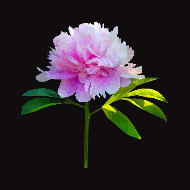Polygonal peony flower with leaves - Vector, Image