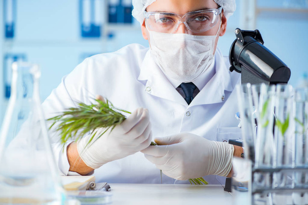 Concept de biotechnologie avec scientifique en laboratoire - Photo, image