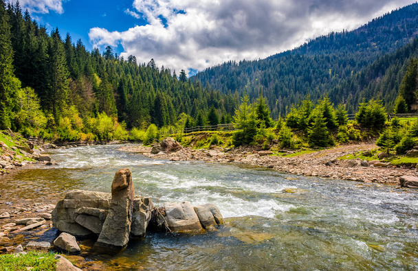 River among the forest in picturesque mountains in springtime - Foto, Imagen