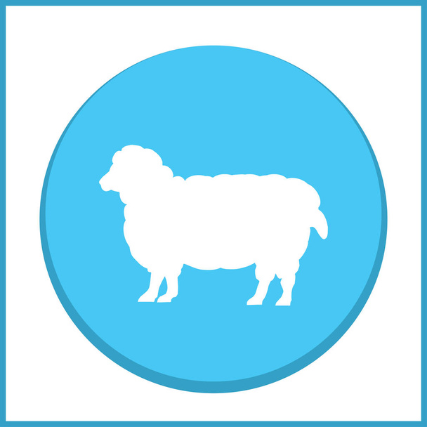Väri lampaita villaa kaikessa kasvussa. Piirros kuva sorkkaeläinten kotieläinten valkoinen lammas, konsepti ruoka
 - Vektori, kuva