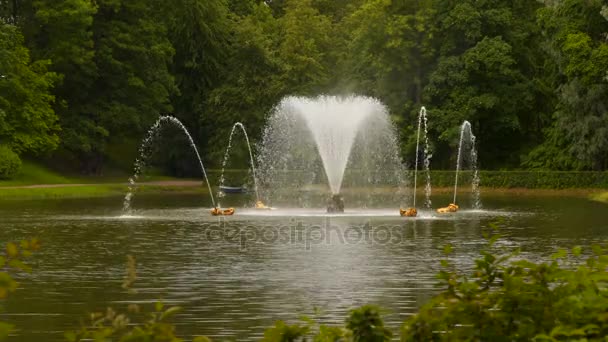 Fountain in the pond. Around the trees - Footage, Video