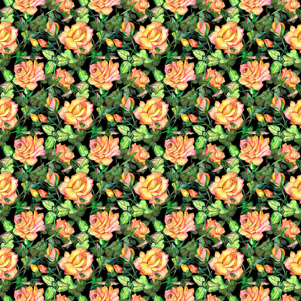 Wildflower rose flower pattern in a watercolor style. - Foto, Imagem