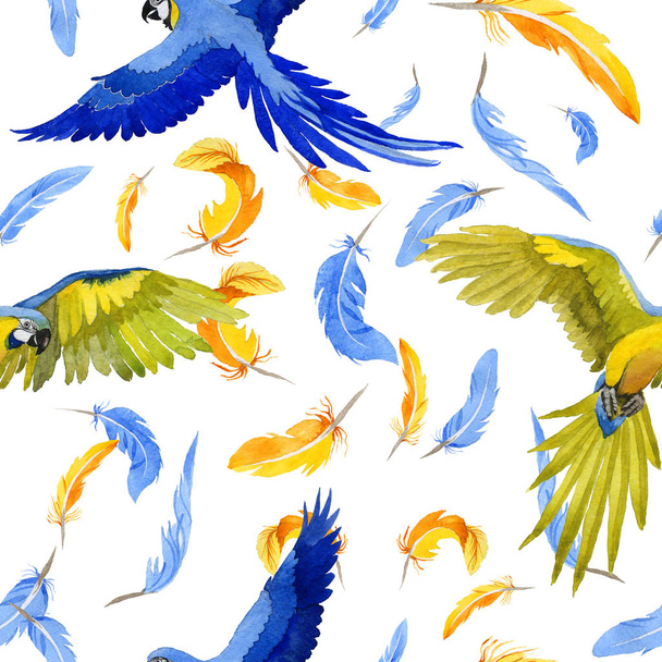 Sky bird parrot pattern in a wildlife by watercolor style. - Фото, изображение