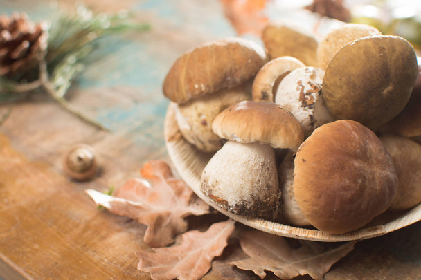 Tasty food - fresh porcini boletus oak mushrooms, high quality, cepe mushrooms - Photo, Image