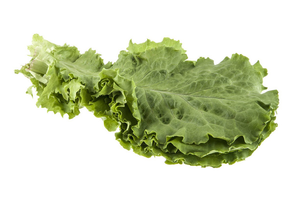 Lettuce leaf isolated on white background - Photo, Image