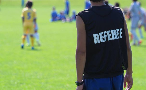 referee in football game - Photo, Image