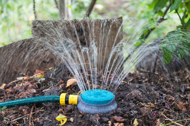 Humidification compost pile using sprinkler - Foto, immagini