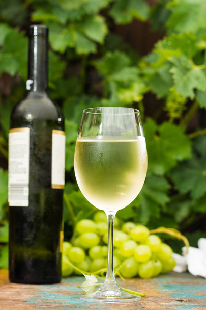 Wine bottle and wine glass with ice cold white wine, outdoor terrace, wine tasting in sunny day, green vineyard garden background and white grape - Photo, Image