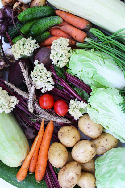 Fresh raw vegetables as a background image. Collage - Zdjęcie, obraz