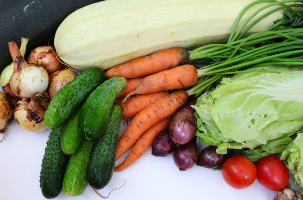 Fresh raw vegetables isolated on white background. - Фото, изображение