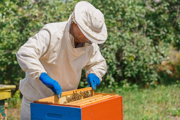 beekeeper with honeycomb - Φωτογραφία, εικόνα