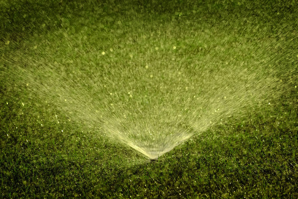 緑豊かな緑の芝生の庭に散水スプリンクラー - 写真・画像