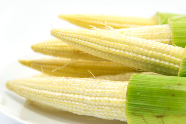 Kukurydza dziecięca na białym tle - Zdjęcie, obraz