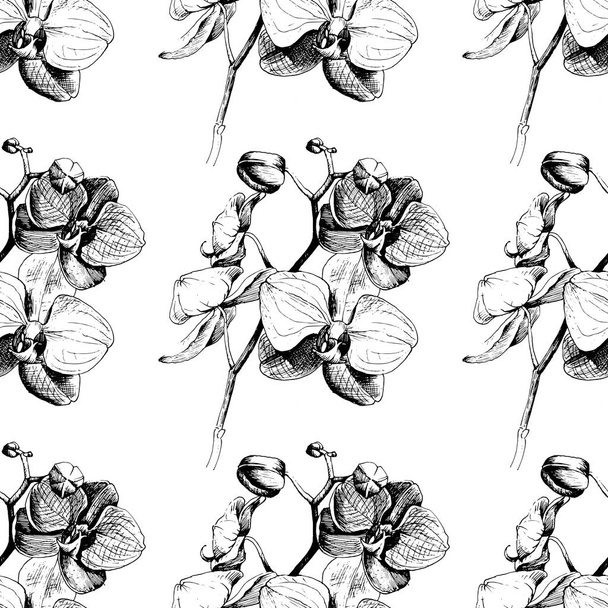 Wildflower orchideebloem patroon in de stijl van een vector. - Vector, afbeelding
