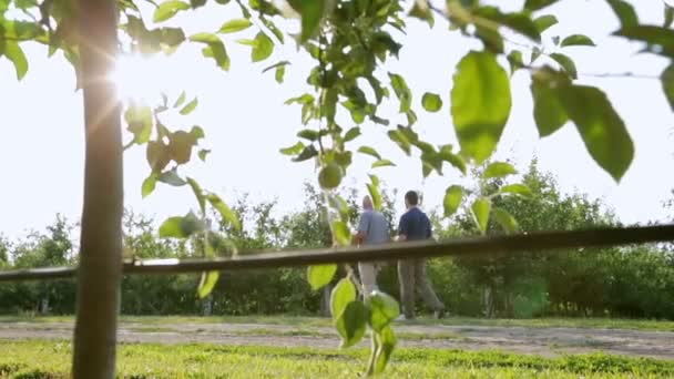 Großvater zeigt seinem Enkel den Garten. Großvater trägt einen Apfel im Hut - Filmmaterial, Video