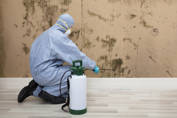 Pest Control Worker Spraying Pesticide  - Zdjęcie, obraz