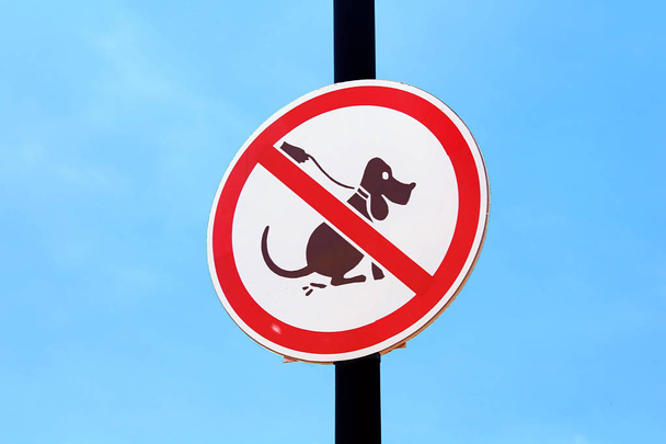 Nessun segno di cacca di cane su sfondo cielo blu
 - Foto, immagini