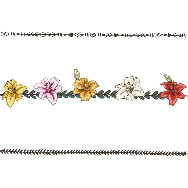 Doodle floral line with colorful lilies. Flower design elements, floral border. Vector illustration. - Vektör, Görsel