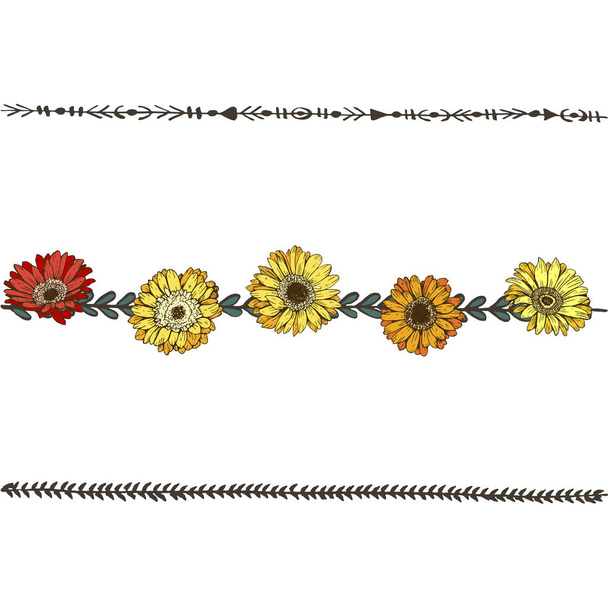Doodle floral line with colorfull daisies flowers. Flower design elements, floral border. Vector illustration. - Vector, Imagen