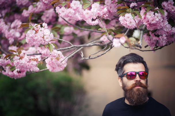 Brutal hombre barbudo con un sombrero y gafas de sol de pie cerca de una sakura floreciente
 - Foto, Imagen