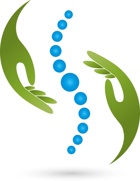 zwei Hände und Wirbelsäule, Massage und Physiotherapie-Logo - Vektor, Bild