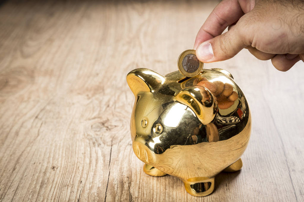 Putting a 1 real coin into a piggy bank - Foto, imagen