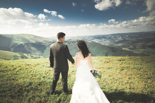 Young wedding couple in love holding hands on the background of mountains - Foto, immagini