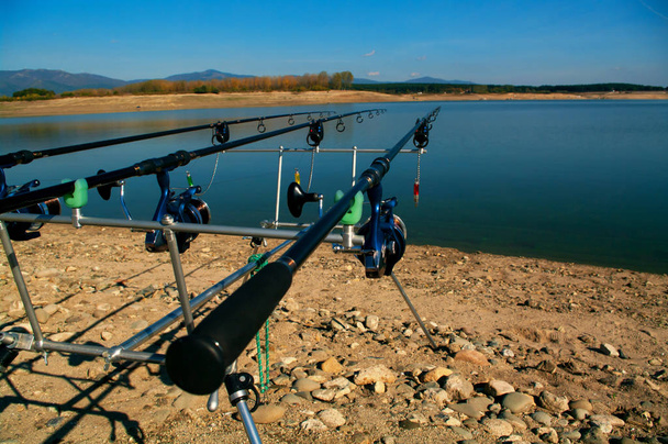 Pesca de carpas. Duas cenas de pesca. Olhando ao longo de três varas de carpa em direção a uma lagoa
. - Foto, Imagem