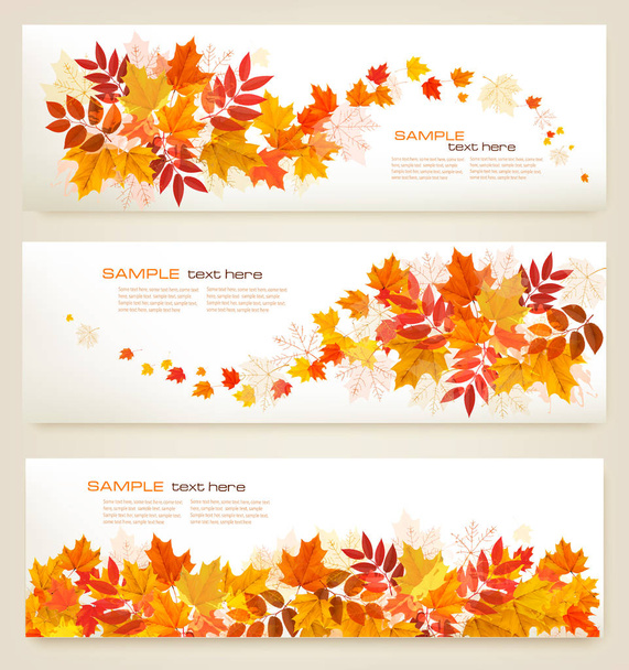 Set of abstract autumn banners with colorful leaves Vector - Vector, Image