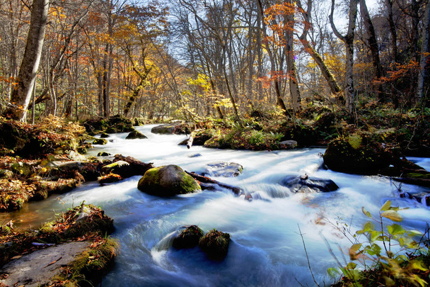 Oirase Gorge hermoso río druing la temporada de otoño, Japón
 - Foto, Imagen