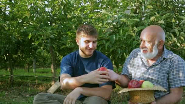 Tasting a new variety of apples. Family affair - Footage, Video