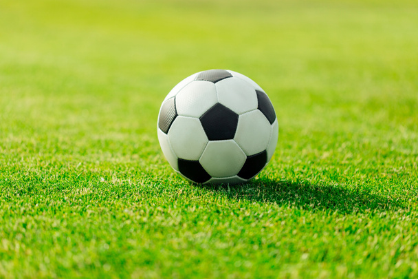 pallone da calcio sull'erba - Foto, immagini